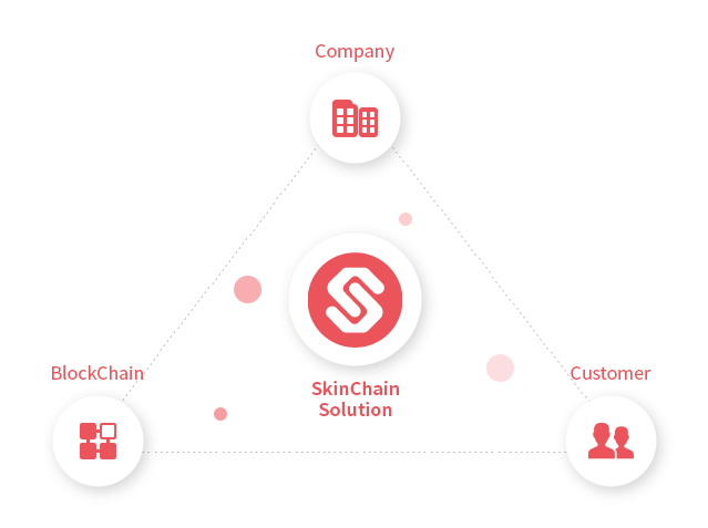 What is SkinChain?